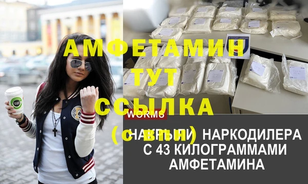 амф Липки