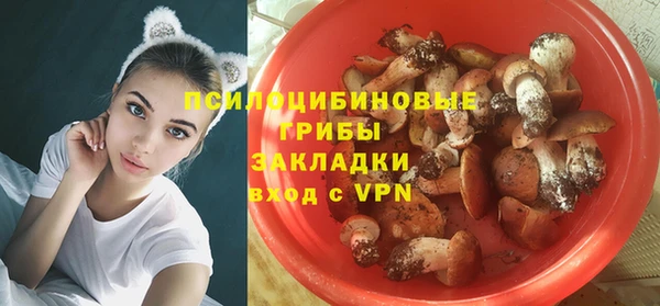 ALPHA PVP Лихославль