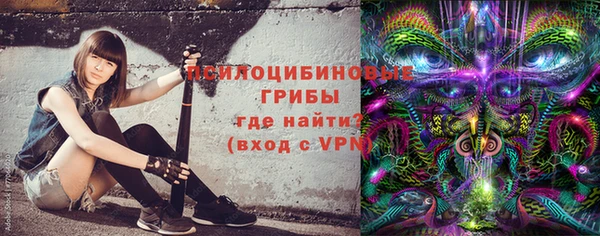 амф Липки
